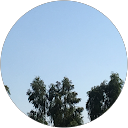 Hira Amjad profile picture